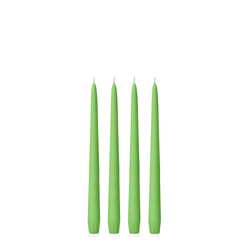 Lime taper candles - 25cm - Pack of 4 - Sarah Urban
