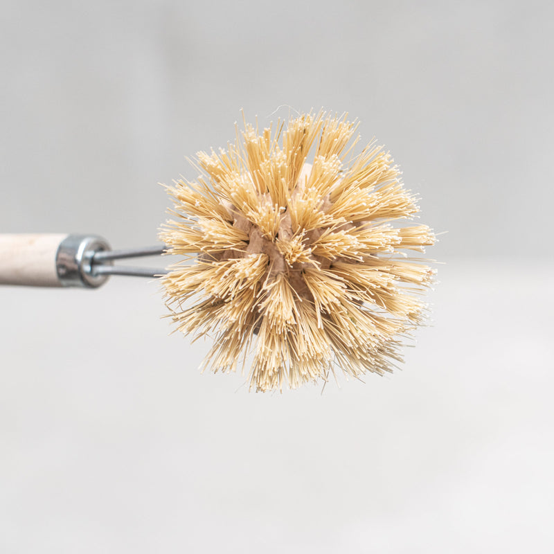 Dish Brush