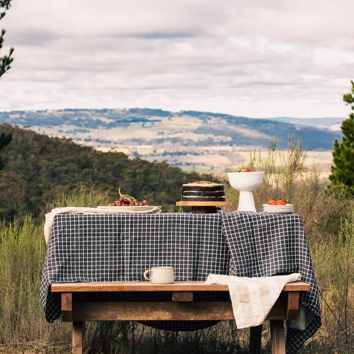 French Navy and White Check Tablecloth - Sarah Urban