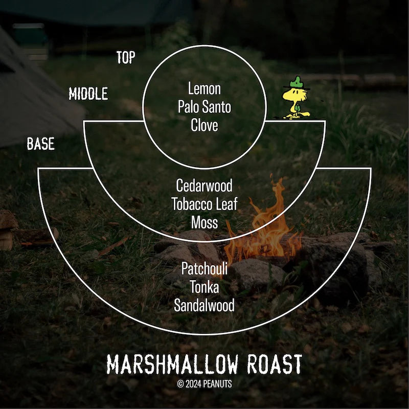 Marshmallow Roast for Peanuts - Sarah Urban