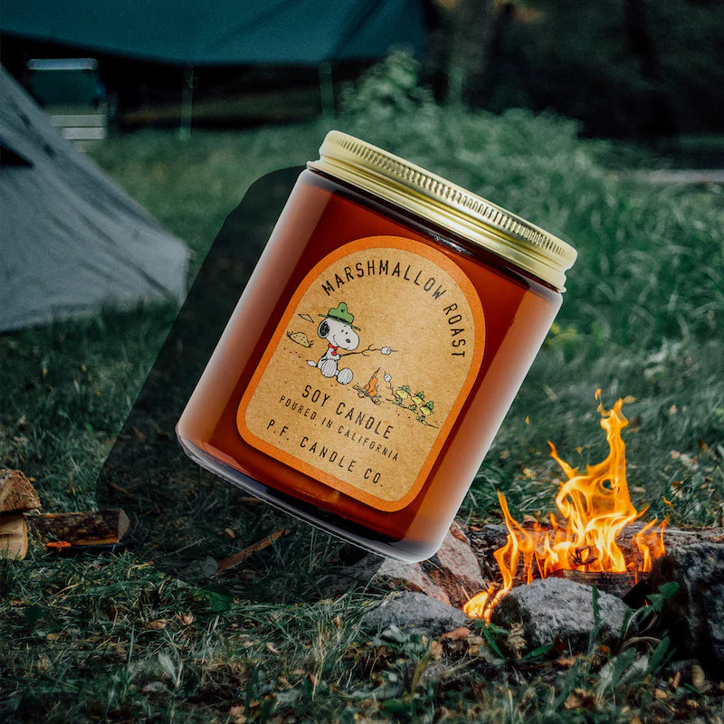 Marshmallow Roast for Peanuts - Sarah Urban