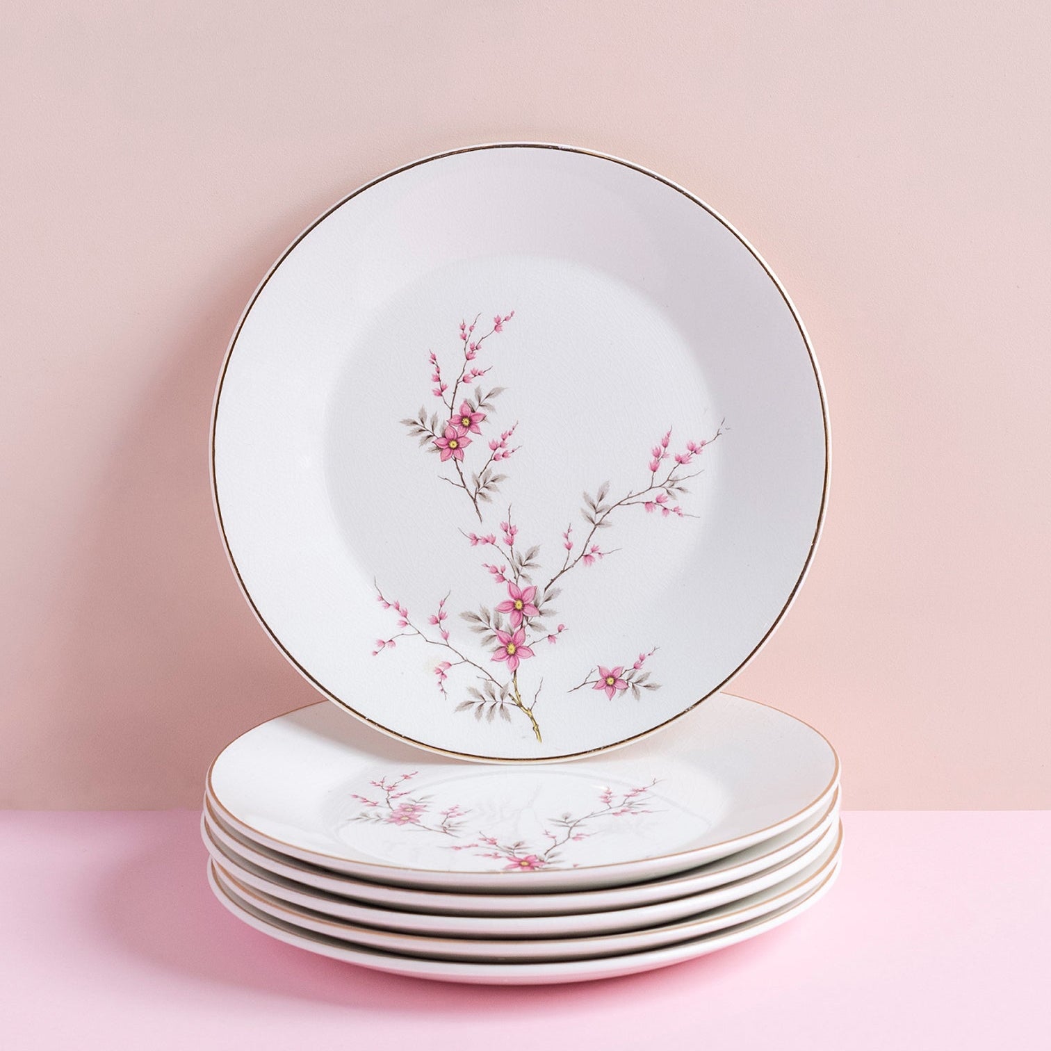Vintage Cherry Blossom Plates Set of 6