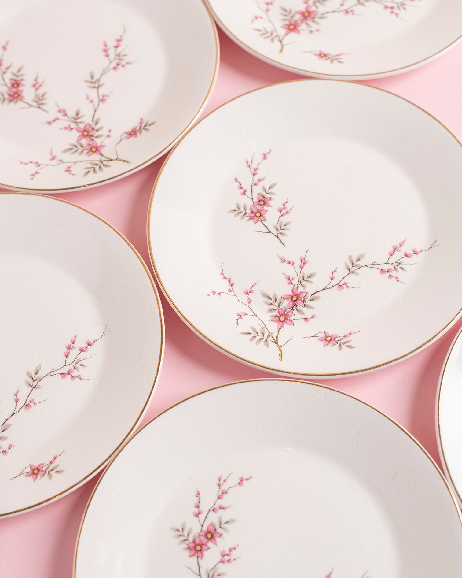 Vintage Cherry Blossom Plates Set of 6