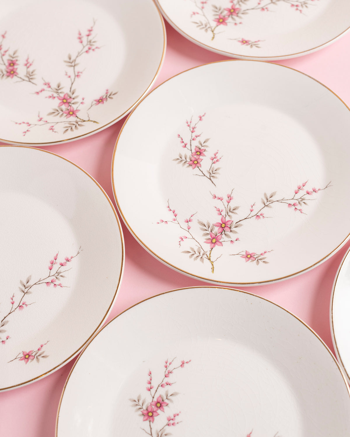 Vintage Cherry Blossom Plates Set of 6