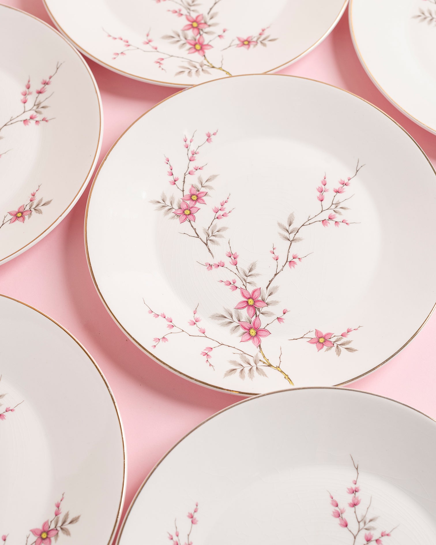 Vintage Cherry Blossom Plates Set of 6