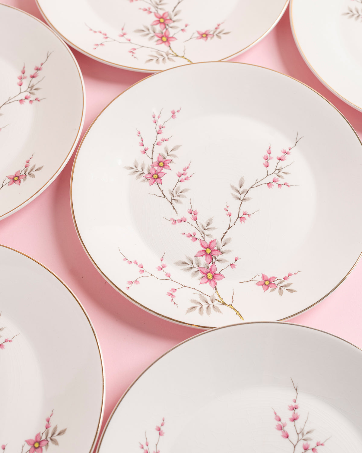 Vintage Cherry Blossom Plates Set of 6