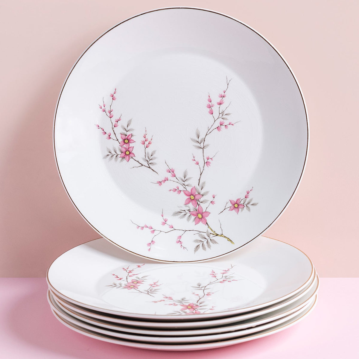 Vintage Cherry Blossom Plates Set of 6
