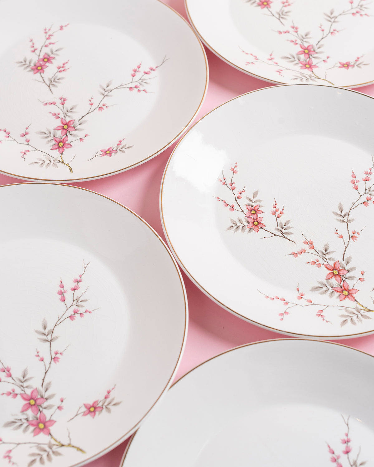 Vintage Cherry Blossom Plates Set of 6