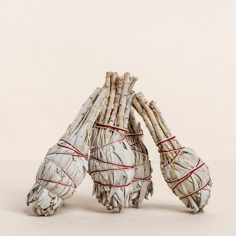 White Sage Bundle