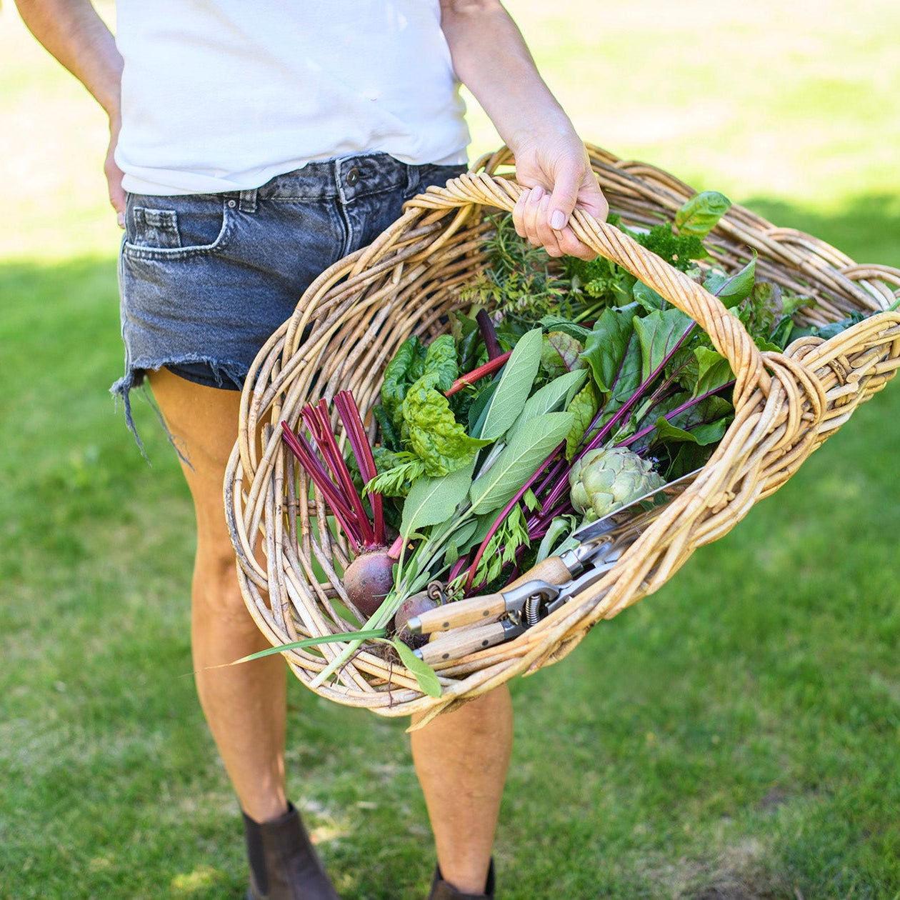 Healthy 101 Recipe Card Set